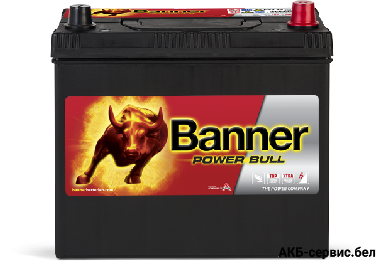 Banner Power Bull P45 23